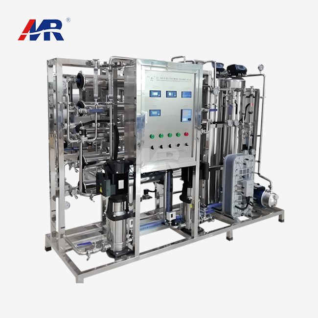 1000LPH EDI equipment
