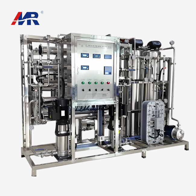 1000LPH EDI system