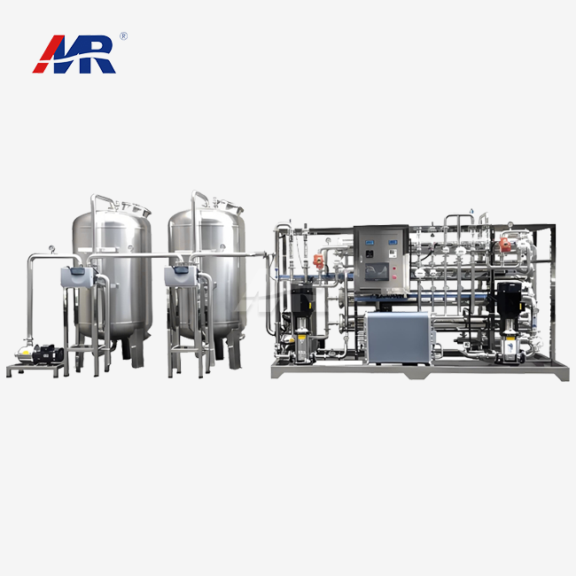 2000LPH EDI system